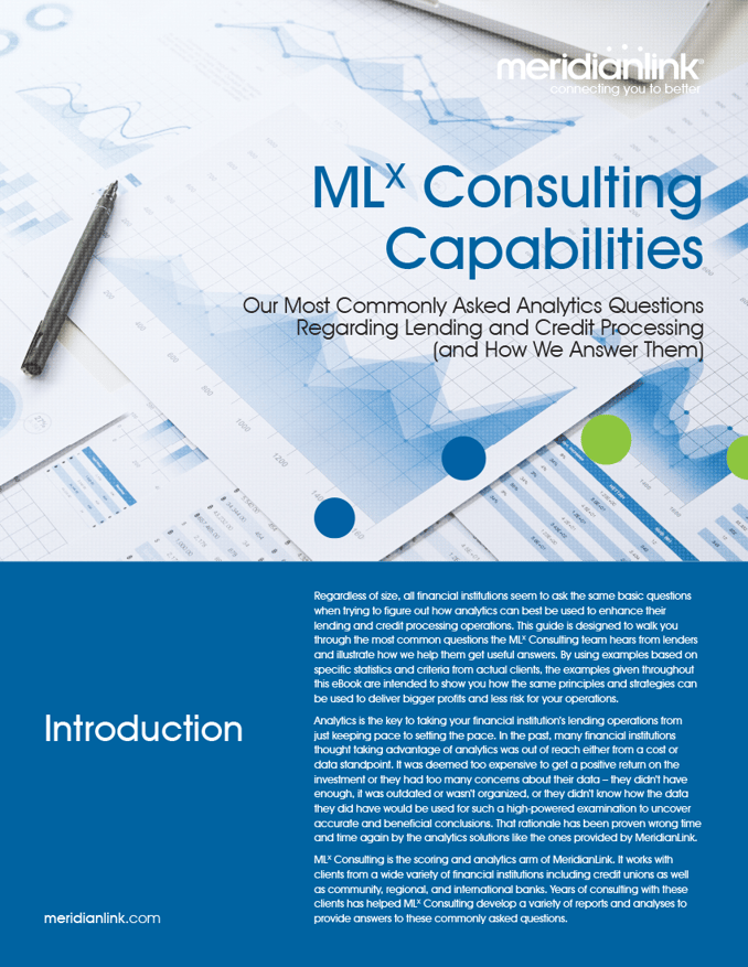 MLX Consulting Capabilities eBook